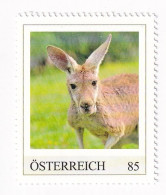 ÖSTERREICH - EXOTISCHE TIERE - KÄNGURU - Australien  - Personalisierte Briefmarke ** Postfrisch - Personalisierte Briefmarken