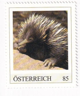 ÖSTERREICH - EXOTISCHE TIERE - SCHNABELIGEL Australien  - Personalisierte Briefmarke ** Postfrisch - Timbres Personnalisés