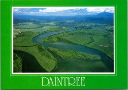 1-3-2025 (1 Y 35) Australia - QLD - Daintree (rainforest) - Far North Queensland