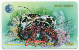 Montserrat - TOP SHELL & HERMIT CRAB - 7CMTD - Montserrat