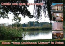 73880512 Peitz Hotel Zum Goldenen Loewen Spreewaldpartie Peitz - Peitz