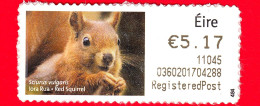 IRLANDA - EIRE - Usato - 2010 - Animali - Scoiattolo Rosso - Red Squirrel -  5.17 - Oblitérés
