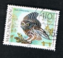 UNGHERIA (HUNGARY) -  SG 5598  - 2017 BIRDS: ATHENE NOCTUA   -  USED° - Used Stamps