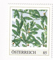 ÖSTERREICH - 125 Jahre SECESSION  - KUPPEL Von Innen Joseph Maria Olbrich - Personalisierte Briefmarke ** Postfrisch - Timbres Personnalisés