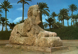 Egypte Giza Gizeh The Sphinx Of Sakkara - Gizeh