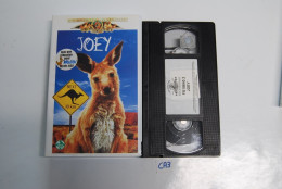 CA3 K7 VIDEO VHS JOEY WALIBI - Kinder & Familie