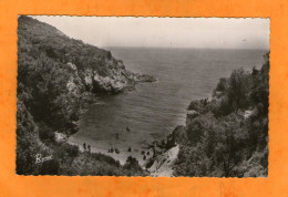 ÎLE Du LEVANT - Plage De Rioufrède - Cotignac