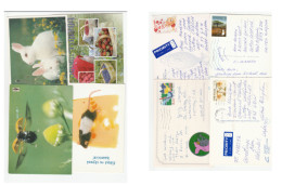 4 Diff FINLAND Postcards To GB Fruit Rabbit Mouse Insect Postcard Flower Tree Stamps Cover - Cartas & Documentos