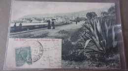 LIGURIE SAN REMO LA PROMENA DE COTE EST  1909 - San Remo
