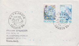 Postal History: Iceland Cover - Lettres & Documents