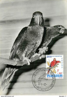 Belgique Zoo Antwerpen Lot De 4 Oiseaux Birds Carte Maximum Card CM - 1951-1960