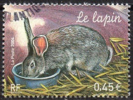 FRANCE 2004 - 1v - Used - Oblitéré - Lapin - Rabbit - Kaninchen - Conejo - Coniglio - Rabbits - Lapins - Conigli - - Hasen