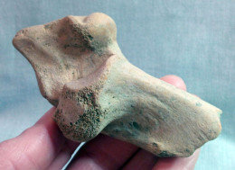 #LOT 05 - Larges Bone Partial HUMERUS Of EQUUS Fossil Pleistocene (Italy) - Fossili