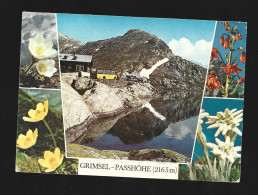 Grimsel Passhöhe Photo Carte Multi View Briefstempel 1976 Aalst Htje - Oberwald