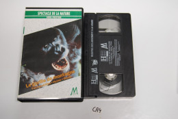 CA4 K7 VIDEO VHS LE GORILLE DE LA MONTAGNE - Documentaire