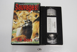 CA4 K7 VIDEO VHS SAUVAGE LE LION - Documentari