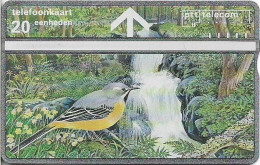 Netherlands - KPN - L&G - R050-01 - Nationale Postcode Loterij - Kwikstaart - 344H - 01.1993, 20U, 10.000ex, Mint - Privées