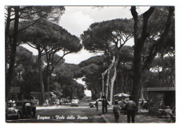 FIUMICINO, FREGENE, VIALE DELLA PINTETA, B/N, VIAGGIATA 1971      **//** - Fiumicino