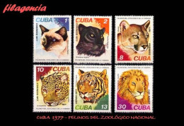 CUBA MINT. 1977-16 FAUNA. FELINOS DEL ZOOLÓGICO DE LA HABANA - Unused Stamps