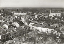 CPSM Villeneuve De Marsan Panorama - Villeneuve De Marsan