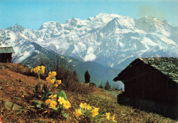 FRANCE - Au Pays Du Mont Blanc - Que De Poésie Et De Contrastes à Chaque Pas - Massif Du Mont Blanc - Carte Postale - Faucigny