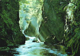 GWYNEDD, FAIRY GLEN, WALES, UNITED KINGDOM, POSTCARD - Gwynedd