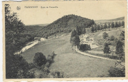 HERBEUMONT : Route De Florenville - Herbeumont