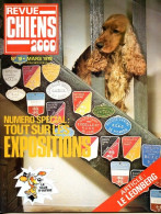 REVUE CHIEN N° 19 De 1978 Animaux Chiens - Tierwelt