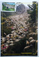 Carte Maximum 3890 La Transhumance Obl 1er Jour - Other & Unclassified