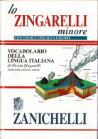 Lo Zingarelli Minore. Vocabolario Della Lingua Italiana. Con Tavole Visuall A Colori - Nicola Zingarelli - Dictionnaires, Encyclopédie