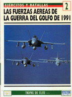 Las Fuerzas Aéreas De La Guerra Del Golfo De 1991. Ejércitos Y Batallas 2 - Roy Braybrook - Histoire Et Art
