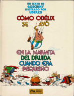 Cómo Obélix Se Cayó En La Marmita Del Druida Cuando Era Pequeño - Gosciny Y Uderzo - Otros & Sin Clasificación