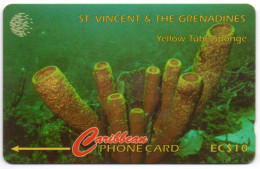 St. Vincent & The Grenadines - Yellow Tube Sponge - 52CSVF - Saint-Vincent-et-les-Grenadines