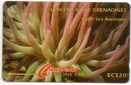 St. Vincent & The Grenadines - Giant Sea Anemone - 52CSVG - St. Vincent & The Grenadines