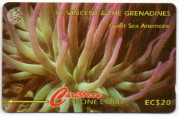St. Vincent & The Grenadines - Giant Sea Anemone - 101CSVB - Saint-Vincent-et-les-Grenadines