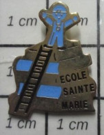 718A Pin's Pins / Beau Et Rare / ADMINISTRATIONS / ECOLE ST MARIE OUVRIER ECHELLE PILE DE LIVRES - Administraties