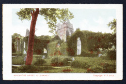 Irlande.  Kerry. Killarney. Muckross Abbey. (1448 - Pères Franciscains, Brûlée En 1652 Par Oliver Cromwell). - Kerry