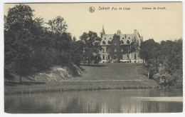SOHEIT : Château De Soheit - Tinlot
