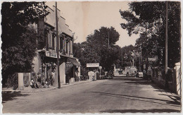 83 - B16141CPSM - LES LECQUES PLAGE - Route Nationale - Bon état - VAR - Les Lecques