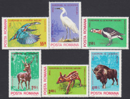 Rumanía  Romania 3271/76 1980 Año Europeo De La Protección De La Naturaleza MN - Sonstige & Ohne Zuordnung