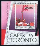 VAR1 Rumanía  Romania  5167 Hojita 1996  MNH - Other & Unclassified