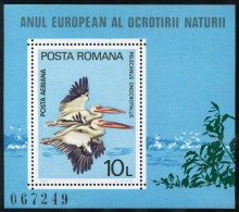 FAU2  Rumanía Romania  HB 141  1980   MNH - Sonstige & Ohne Zuordnung