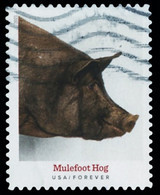 Etats-Unis / United States (Scott No.5583 - Heritage Breeds) (o) - Used Stamps