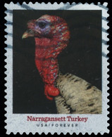 Etats-Unis / United States (Scott No.5586 - Heritage Breeds) (o) - Used Stamps