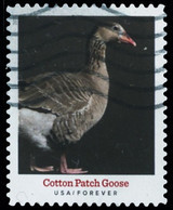 Etats-Unis / United States (Scott No.5588 - Heritage Breeds) (o) - Used Stamps