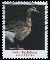 Etats-Unis / United States (Scott No.5588 - Heritage Breeds) (o) - Oblitérés