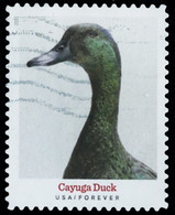 Etats-Unis / United States (Scott No.5591 - Heritage Breeds) (o) - Used Stamps