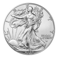 2024 $1 American Silver Eagle 1 Oz Bu - Verzamelingen