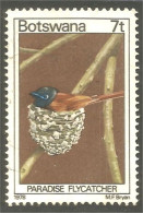210 Botswana Oiseau Bird Vogel Uccello Paradise Flycatcher (BOT-29a) - Botswana (1966-...)