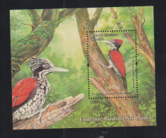 BIRDS - SIRLANKA - WOODPECKER SOUVENIR SHEET  MINT NEVER HINGED - Spechten En Klimvogels